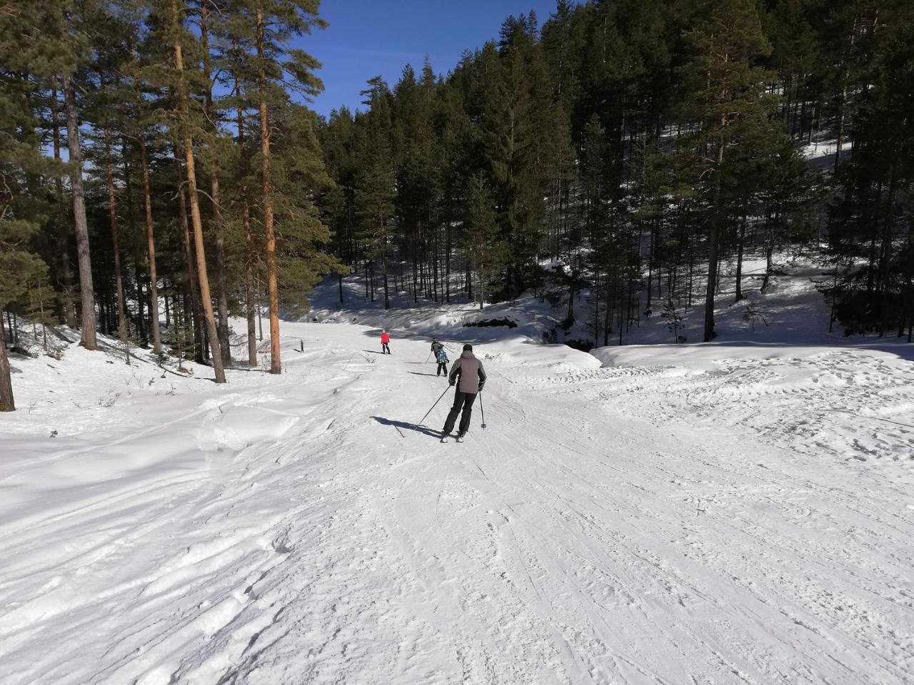 Lux Apartman Natasa Zlatibor Buitenkant foto